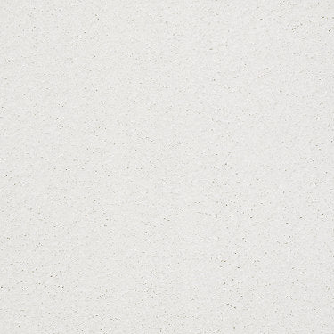 Ravishing Residential Carpet by Anderson Tuftex in the color Snowbound. Sample of beiges carpet pattern and texture.