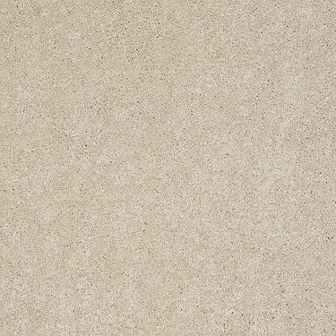 Ravishing Residential Carpet by Anderson Tuftex in the color Cheesecake. Sample of beiges carpet pattern and texture.