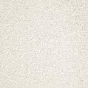 Ravishing Residential Carpet by Anderson Tuftex in the color Sea Salt. Sample of beiges carpet pattern and texture.