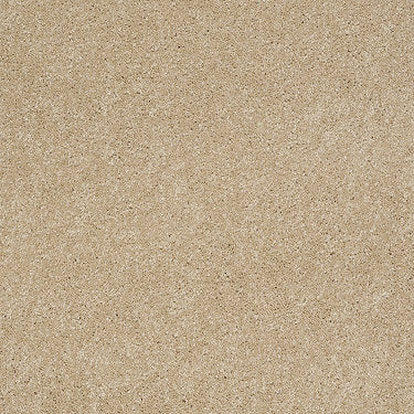 Ravishing Residential Carpet by Anderson Tuftex in the color Nevada Sand. Sample of beiges carpet pattern and texture.