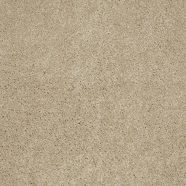 Ravishing Residential Carpet by Anderson Tuftex in the color Touch Of Tan. Sample of beiges carpet pattern and texture.