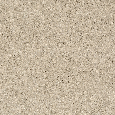 Ravishing Residential Carpet by Anderson Tuftex in the color Pacific Pearl. Sample of beiges carpet pattern and texture.
