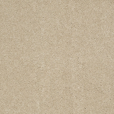 Ravishing Residential Carpet by Anderson Tuftex in the color Royal Cream. Sample of golds carpet pattern and texture.