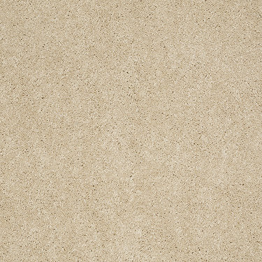 Ravishing Residential Carpet by Anderson Tuftex in the color Spun Silk. Sample of golds carpet pattern and texture.