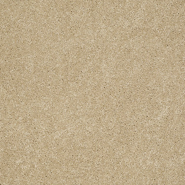 Ravishing Residential Carpet by Anderson Tuftex in the color Twinkle. Sample of golds carpet pattern and texture.