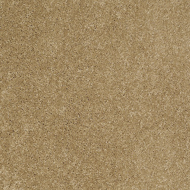 Ravishing Residential Carpet by Anderson Tuftex in the color Moon Glow. Sample of golds carpet pattern and texture.