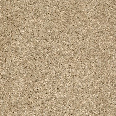 Ravishing Residential Carpet by Anderson Tuftex in the color Sunspot. Sample of golds carpet pattern and texture.