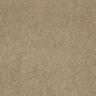 Ravishing Residential Carpet by Anderson Tuftex in the color Trail. Sample of golds carpet pattern and texture.