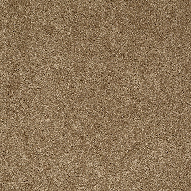 Ravishing Residential Carpet by Anderson Tuftex in the color Cedar Chest. Sample of golds carpet pattern and texture.