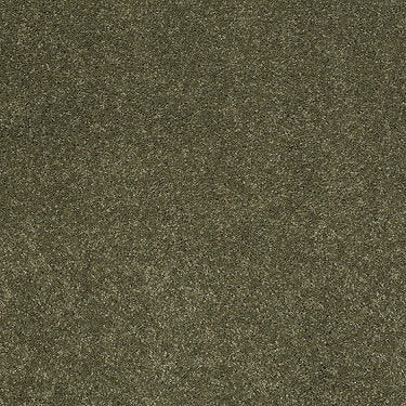 Ravishing Residential Carpet by Anderson Tuftex in the color New Willow. Sample of greens carpet pattern and texture.