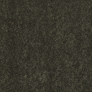 Ravishing Residential Carpet by Anderson Tuftex in the color Parsley. Sample of greens carpet pattern and texture.