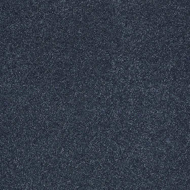 Ravishing Residential Carpet by Anderson Tuftex in the color Grand Canal. Sample of blues carpet pattern and texture.