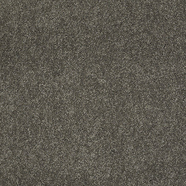 Ravishing Residential Carpet by Anderson Tuftex in the color Cityscape. Sample of grays carpet pattern and texture.