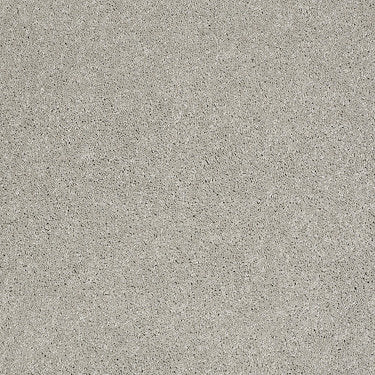 Ravishing Residential Carpet by Anderson Tuftex in the color March Winds. Sample of grays carpet pattern and texture.