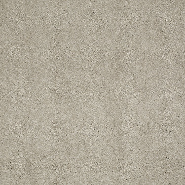 Ravishing Residential Carpet by Anderson Tuftex in the color Limestone. Sample of grays carpet pattern and texture.