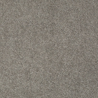 Ravishing Residential Carpet by Anderson Tuftex in the color Heavy Metal. Sample of grays carpet pattern and texture.