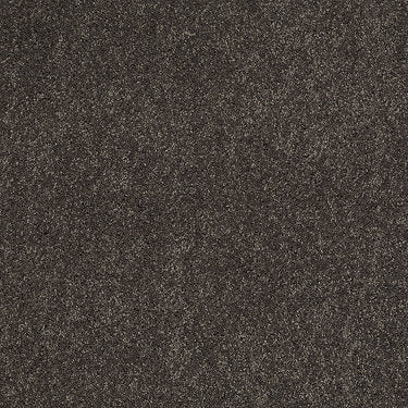 Ravishing Residential Carpet by Anderson Tuftex in the color Nightfall. Sample of grays carpet pattern and texture.