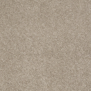 Ravishing Residential Carpet by Anderson Tuftex in the color Park Avenue. Sample of grays carpet pattern and texture.