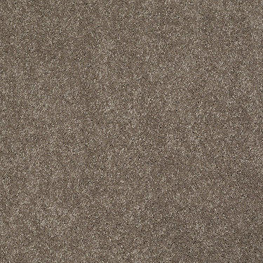 Ravishing Residential Carpet by Anderson Tuftex in the color Misty Taupe. Sample of grays carpet pattern and texture.