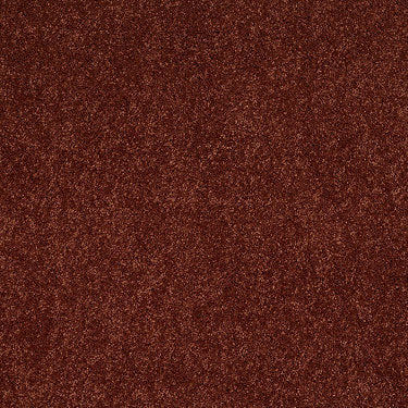 Ravishing Residential Carpet by Anderson Tuftex in the color Chili. Sample of oranges carpet pattern and texture.