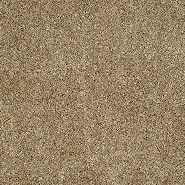 Ravishing Residential Carpet by Anderson Tuftex in the color Peanut Butter. Sample of browns carpet pattern and texture.
