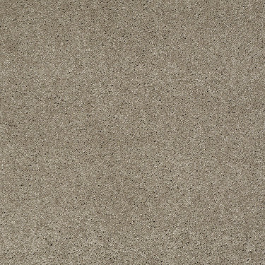 Ravishing Residential Carpet by Anderson Tuftex in the color Driftwood. Sample of browns carpet pattern and texture.