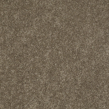 Ravishing Residential Carpet by Anderson Tuftex in the color Boardwalk. Sample of browns carpet pattern and texture.