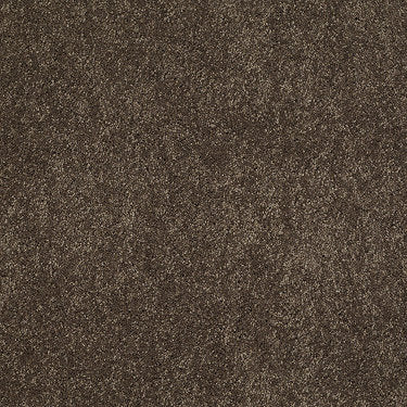 Ravishing Residential Carpet by Anderson Tuftex in the color River Rock. Sample of browns carpet pattern and texture.