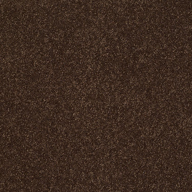 Ravishing Residential Carpet by Anderson Tuftex in the color Decaf. Sample of browns carpet pattern and texture.