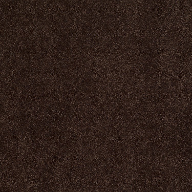 Ravishing Residential Carpet by Anderson Tuftex in the color Chestnut. Sample of browns carpet pattern and texture.