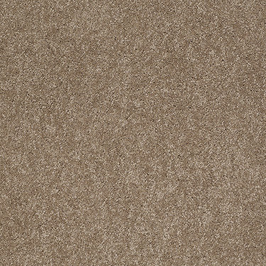 Ravishing Residential Carpet by Anderson Tuftex in the color Hazelnut. Sample of browns carpet pattern and texture.