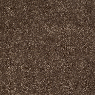 Ravishing Residential Carpet by Anderson Tuftex in the color Hot Cocoa. Sample of browns carpet pattern and texture.