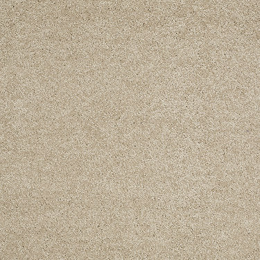 So Peaceful Residential Carpet by Anderson Tuftex in the color Belgian Waffle. Sample of beiges carpet pattern and texture.