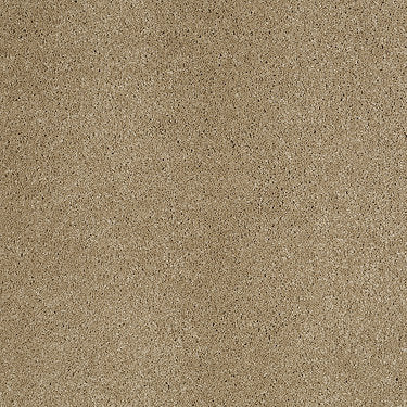 So Peaceful Residential Carpet by Anderson Tuftex in the color Maple Granola. Sample of beiges carpet pattern and texture.