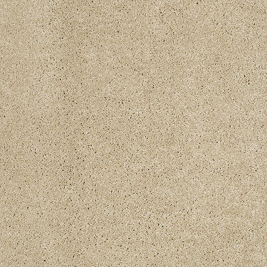 So Peaceful Residential Carpet by Anderson Tuftex in the color Half Moon. Sample of golds carpet pattern and texture.