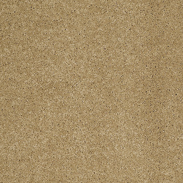 So Peaceful Residential Carpet by Anderson Tuftex in the color Etched Gold. Sample of golds carpet pattern and texture.