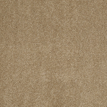 So Peaceful Residential Carpet by Anderson Tuftex in the color Oak Plank. Sample of golds carpet pattern and texture.
