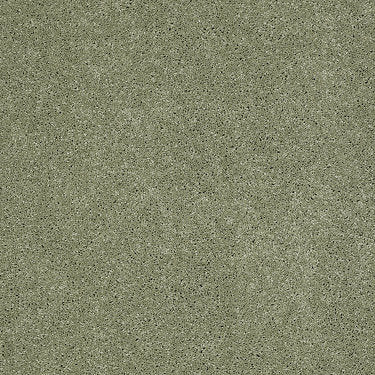 So Peaceful Residential Carpet by Anderson Tuftex in the color Applemint. Sample of greens carpet pattern and texture.