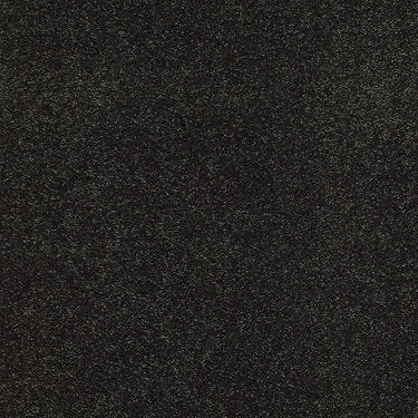 So Peaceful Residential Carpet by Anderson Tuftex in the color Dill Weed. Sample of greens carpet pattern and texture.