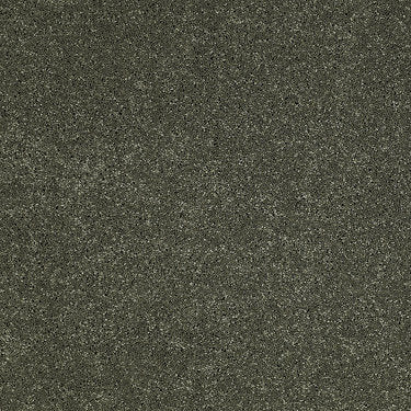 So Peaceful Residential Carpet by Anderson Tuftex in the color Bay Leaf. Sample of greens carpet pattern and texture.