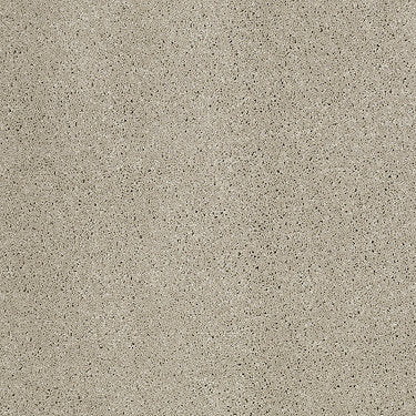 So Peaceful Residential Carpet by Anderson Tuftex in the color Seagull. Sample of grays carpet pattern and texture.