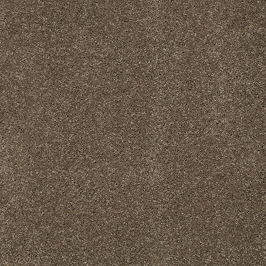 So Peaceful Residential Carpet by Anderson Tuftex in the color Phoenix Fossil. Sample of grays carpet pattern and texture.