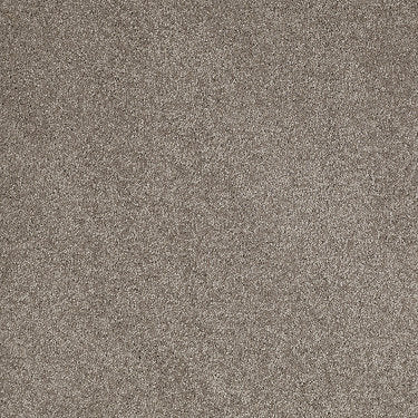 So Peaceful Residential Carpet by Anderson Tuftex in the color Wild Mushroom. Sample of grays carpet pattern and texture.