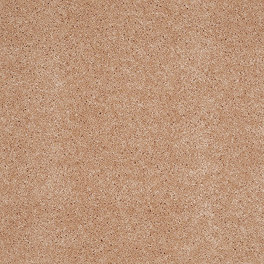 So Peaceful Residential Carpet by Anderson Tuftex in the color Frozen Sorbet. Sample of oranges carpet pattern and texture.