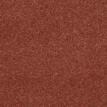 So Peaceful Residential Carpet by Anderson Tuftex in the color Carrot Cake. Sample of oranges carpet pattern and texture.