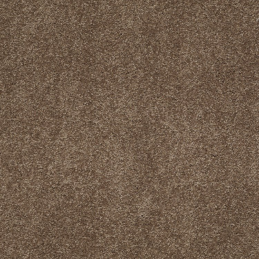 So Peaceful Residential Carpet by Anderson Tuftex in the color Mocha Latte. Sample of browns carpet pattern and texture.