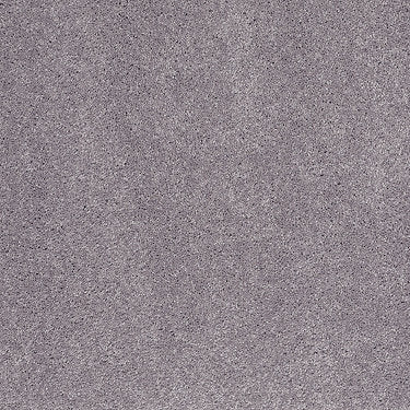 So Peaceful Residential Carpet by Anderson Tuftex in the color Floral Lilac. Sample of violets carpet pattern and texture.