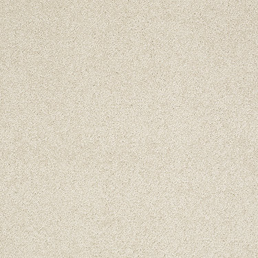 Pleasant Times Residential Carpet by Anderson Tuftex in the color Turtle Dove. Sample of beiges carpet pattern and texture.