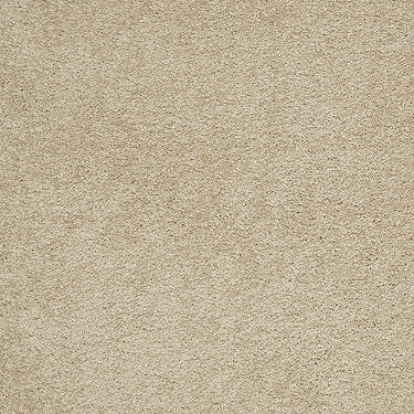 Pleasant Times Residential Carpet by Anderson Tuftex in the color Belgian Waffle. Sample of beiges carpet pattern and texture.