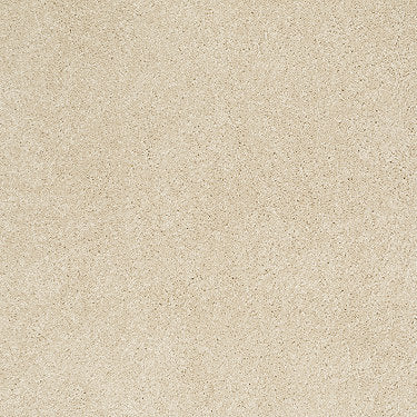 Pleasant Times Residential Carpet by Anderson Tuftex in the color Icy Ivory. Sample of beiges carpet pattern and texture.